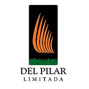 Logo of SOC DE INVERSIONES INMOBILIARIA Y DE SERVICIOS DEL PILAR LIMITADA